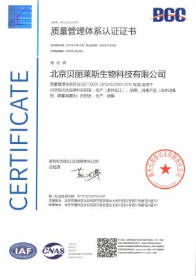 ISO9001_2015质量管理体系认证证书-中文版